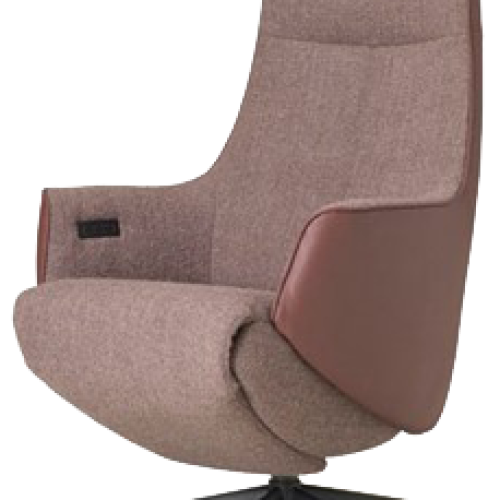 De Toekomst - NV 1010 relaxfauteuil